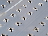 Vorschau: Die Lochstanzung der Oberfläche gewährleistet auch bei sehr schwierigen Bedingungen einen optimalen Halt. Vorschau: Die Lochstanzung der Oberfläche gewährleistet auch bei sehr schwierigen Bedingungen einen optimalen Halt.